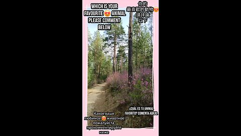 Discover their strength and grace up close. #FavoriteAnimal