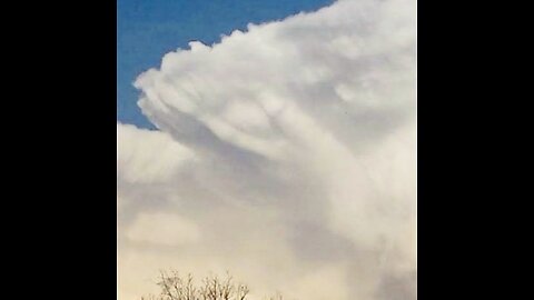 January 19 - 1 19>119mirror911 | mONDAY IS ABOUT TO BE INSANE, LandL777 on telegram GREENLAND scoped