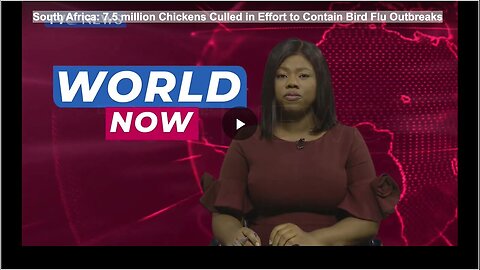 "7.5 Million Chickens Culled in South Africa to Contain Bird Flu Outbreaks"