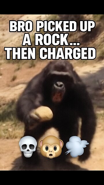 Caught This Monkey Plotting… Then He Snapped 💀📹