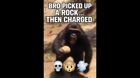Caught This Monkey Plotting… Then He Snapped 💀📹