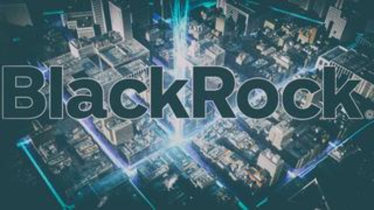 BlackRock Monopolizes The Grid