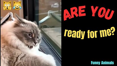 "Are you ready for me?"