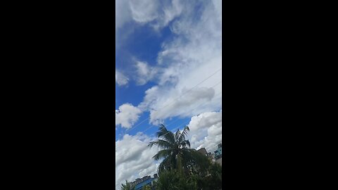 vlog