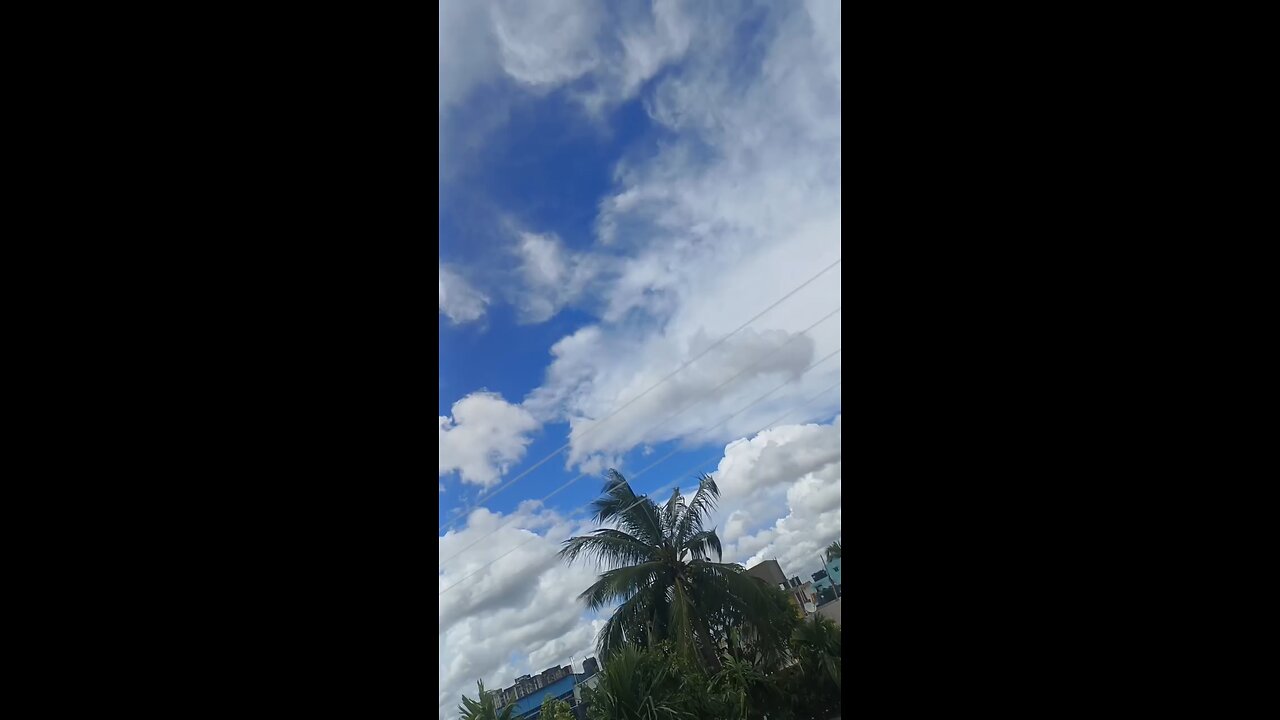 vlog
