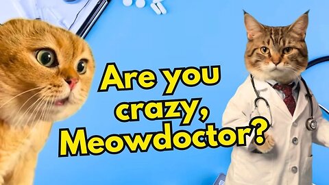 When a Cat is Angry with His Doctor (Ep.26)