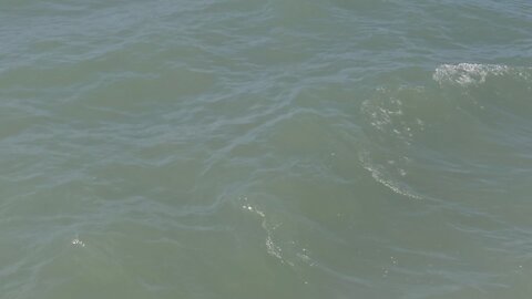 surfing the waves