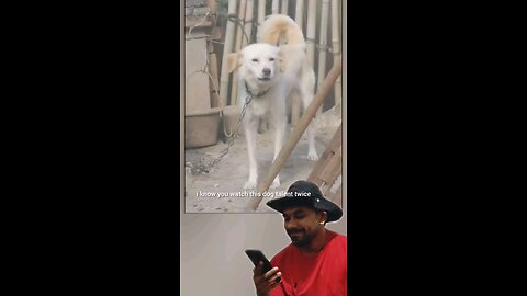 trynottolaugh