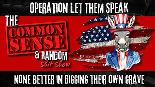 The Common Sense and Random Shit, Show (Operation Let Them Speak)