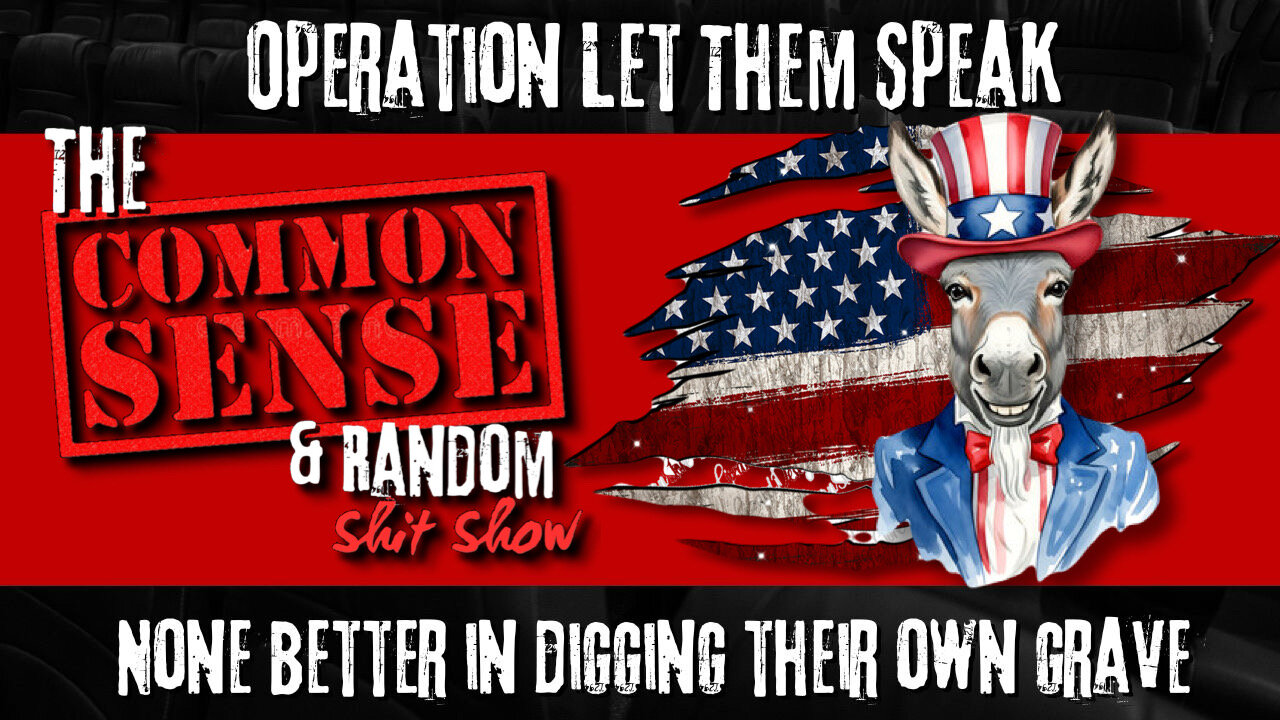 The Common Sense and Random Shit, Show (Operation Let Them Speak)
