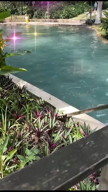 Jeremiah 17:17 Trust