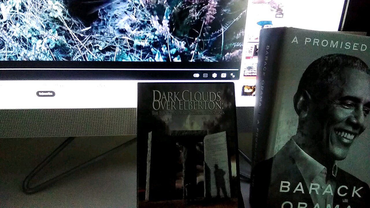 The/A Promised Land: Narratives.