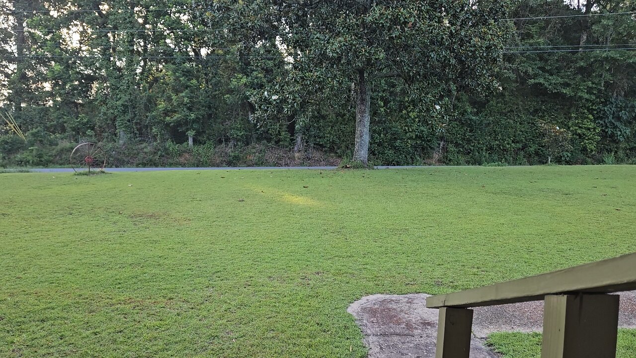 Porch Report 070325