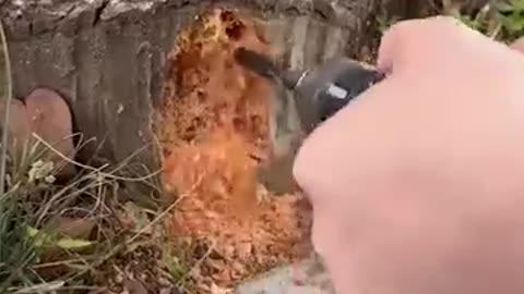 CASA de HADAS en la ACERA INCREÍBLE 😍🧚🏼