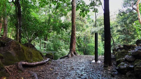 "Success is the ability to sustain the effort after the enthusiasm has gone."