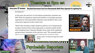 Psychedelic Reporters Ep182 November 11, 2025