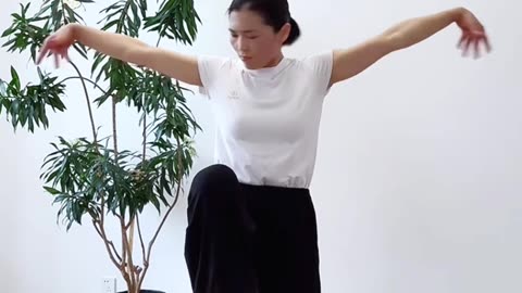 928.穩定性結構力樁功訓練