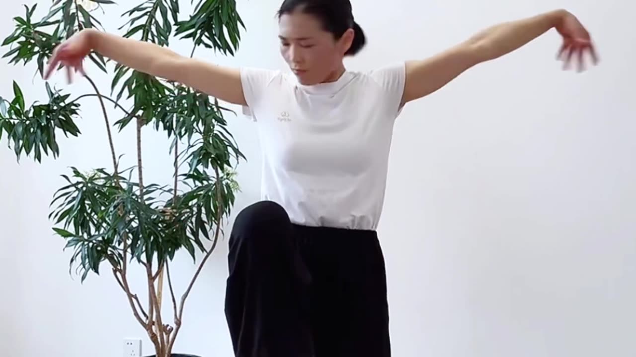 928.穩定性結構力樁功訓練