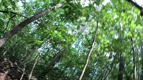 Can this retard make it to the tree before he touches lava Day: 3