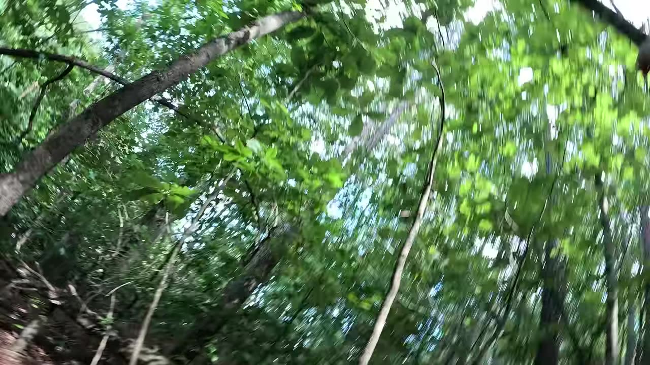 Can this retard make it to the tree before he touches lava Day: 3