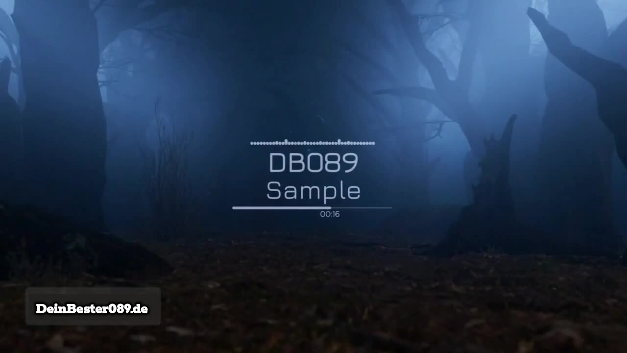 VISUALIZER-BEISPIELE