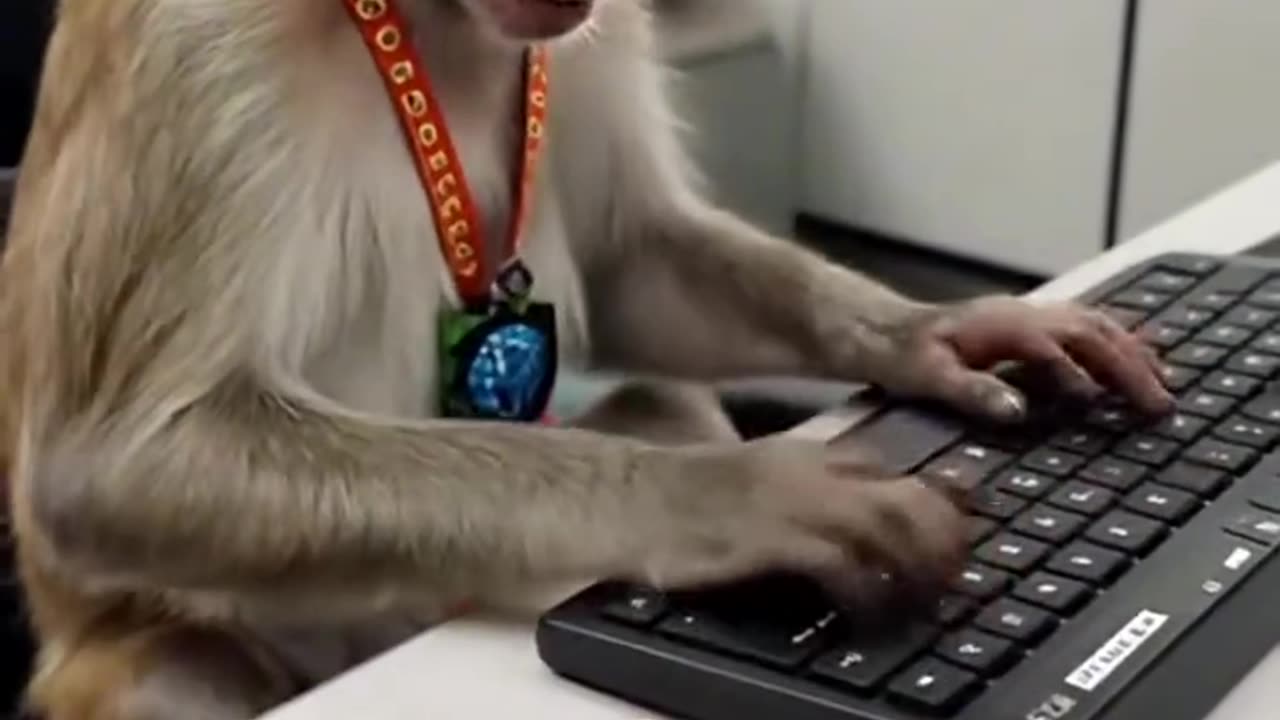 "AI Monkey at Work! 🐒💡 The Future is Bananas!" #shorts