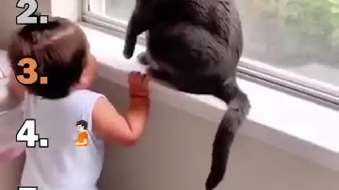 Ranking Best Cats Speaking English Moments