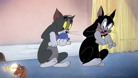 Tom and Jerry funny video