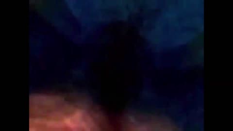 Finding Nemo Whale Darkness