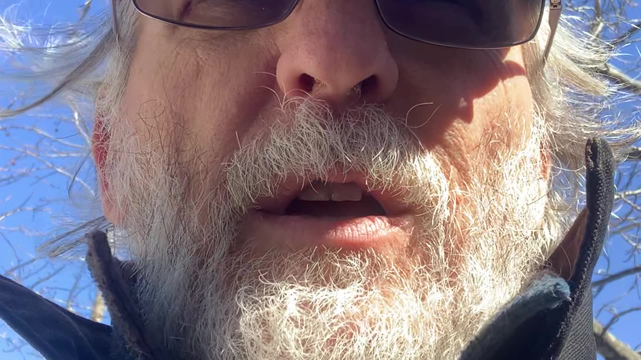 005 Reflections – Disease and causes