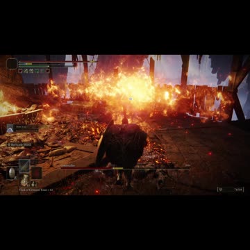 Elden Ring NG+1 | Omenkiller boss fight co-op w/Mimic Tear #fromsoftware #eldenring #shorts