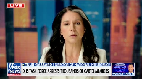 Tulsi Gabbard Reveals How Trump Showed 'His Seriousness' Against Cartels Who Ran Border