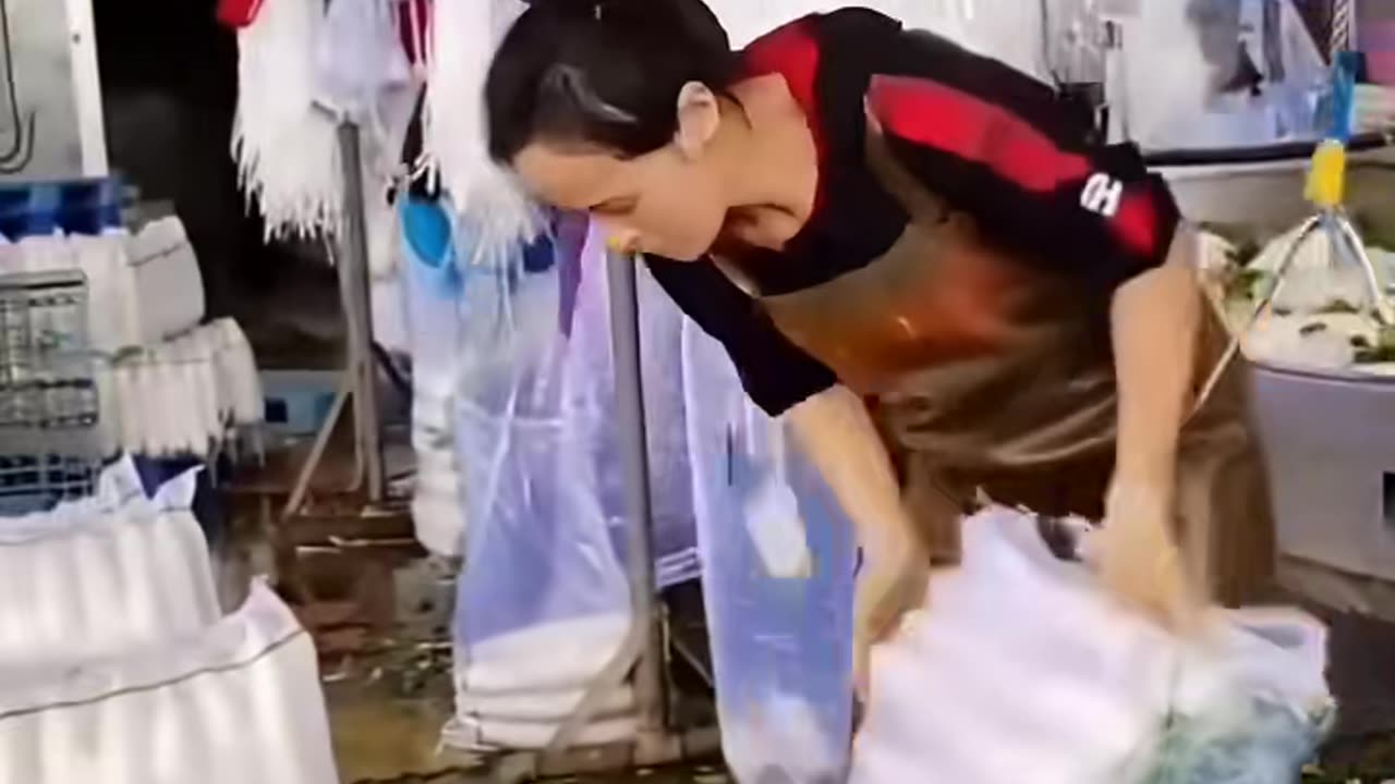 🤯✨ Satisfying Tools in Action Compilation! | FeedMyCuriosity