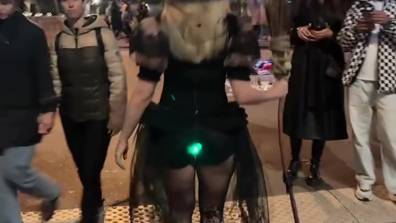 I am the traffic light in this city.