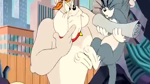 Tom and jarry funny vidieo song by