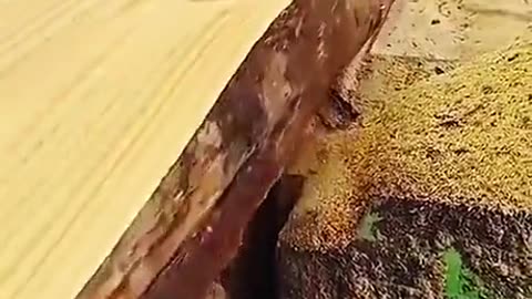 This is so satisfying to watch!🤤🤤🤤