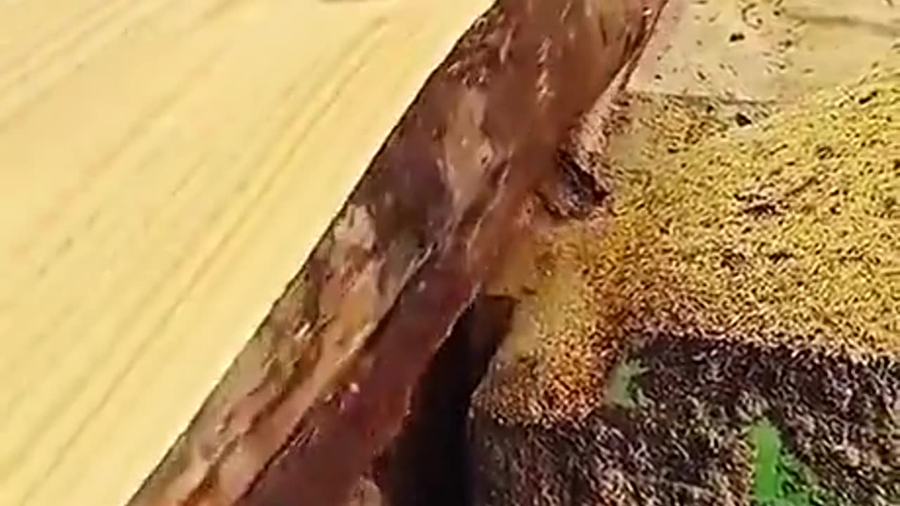 This is so satisfying to watch!🤤🤤🤤