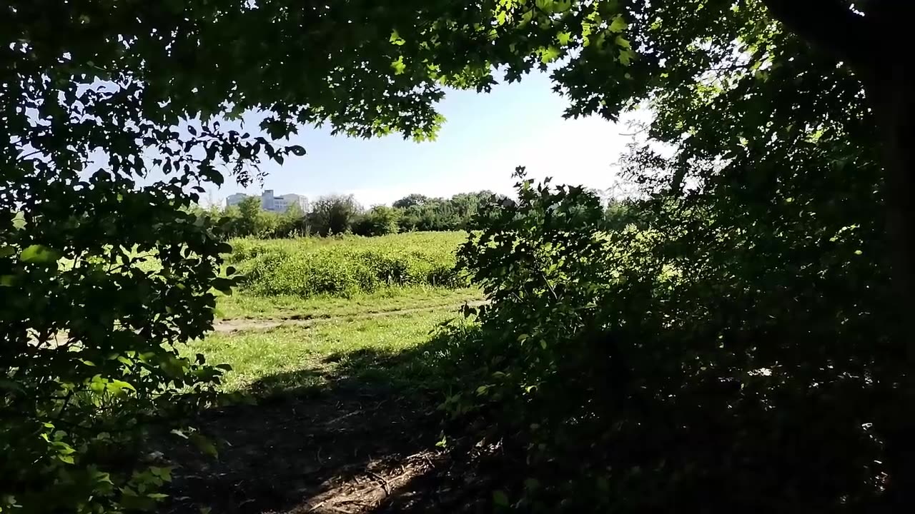 wczoraj poszłam starymi ścieżkami...