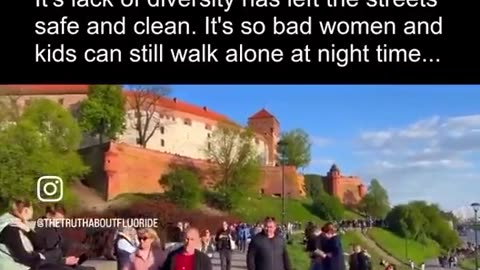 EU Claims Poland cannot survive without diversity! no crime rapes bombings