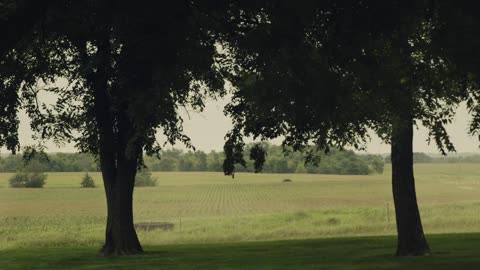 Farmer's Footprint: Regeneration - The Beginning (Full Film)