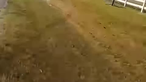Worst Crash Ever? ☠️