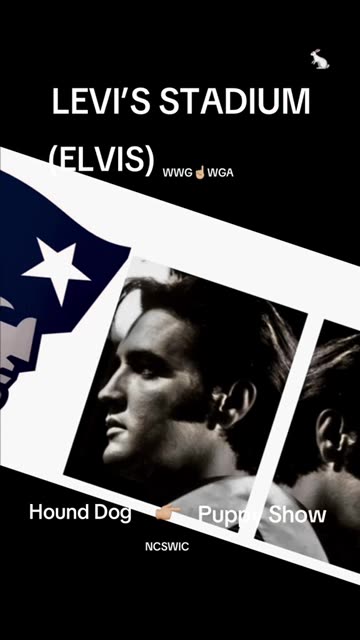 LEVI'S (ELVIS/EVILS) STADIUM (Read Description)