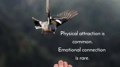 Beyond the Surface: The Power of Emotional Connection
