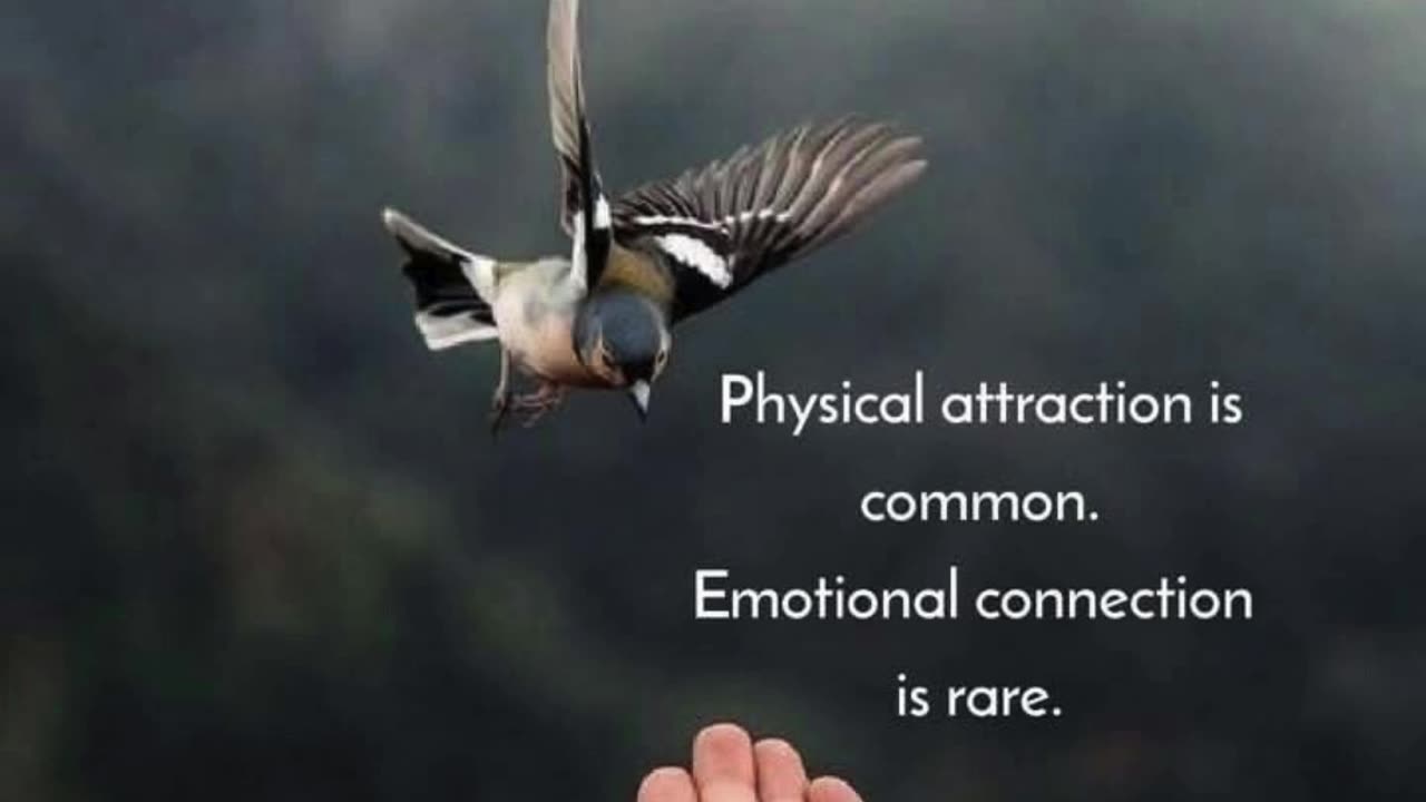Beyond the Surface: The Power of Emotional Connection