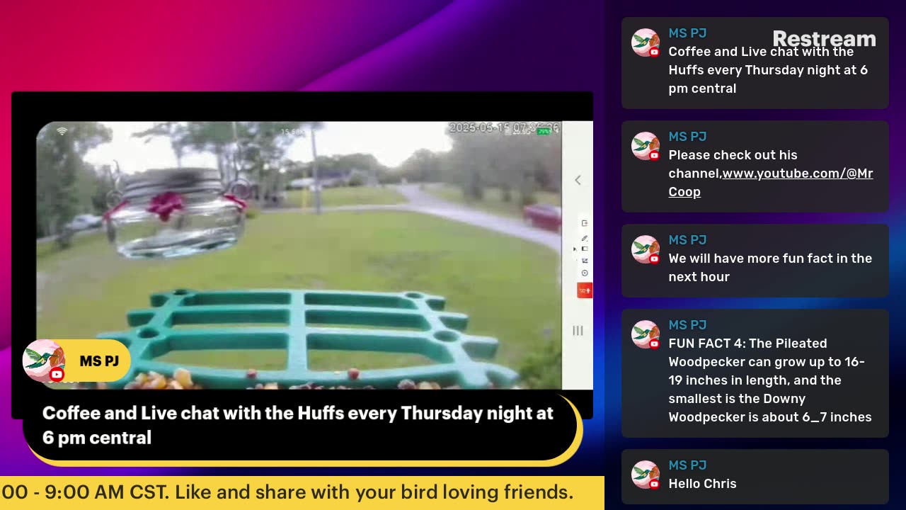 Bird Feeder Live 5-15