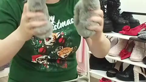 KITTY 😺 🐈: You're gonna see more typos &errors because I'm too lazy to be PERFECT