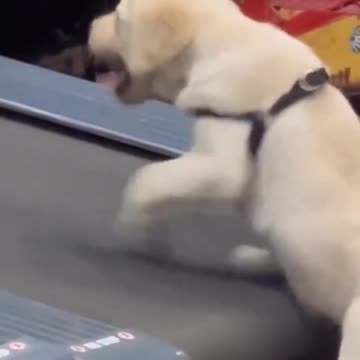 Building a strong foundation for a healthy lifestyle