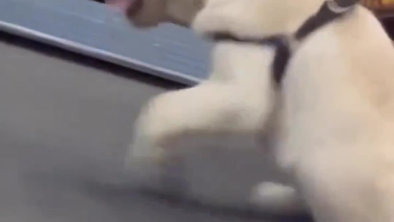 Building a strong foundation for a healthy lifestyle