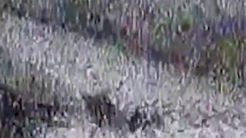 💥🚛 Ukraine Russia War | Ukrainian 412th UAS Brigade Hits Russian Logistics | RCF