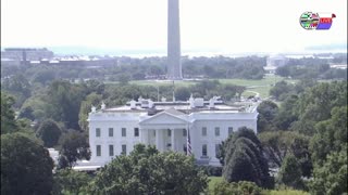 TWO CATS U.S. POLITICAL NEWS
